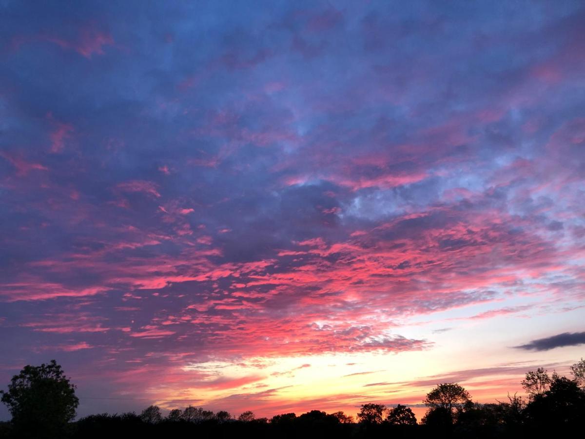 Oakfield B&B Lisburn Esterno foto