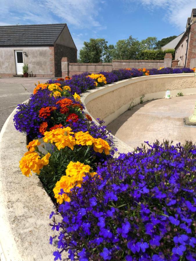 Oakfield B&B Lisburn Esterno foto