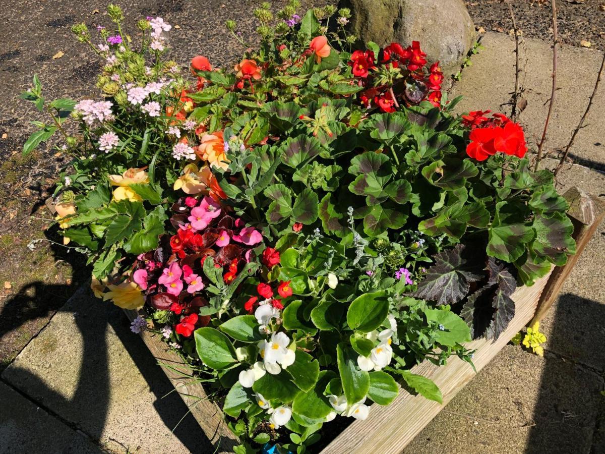 Oakfield B&B Lisburn Esterno foto