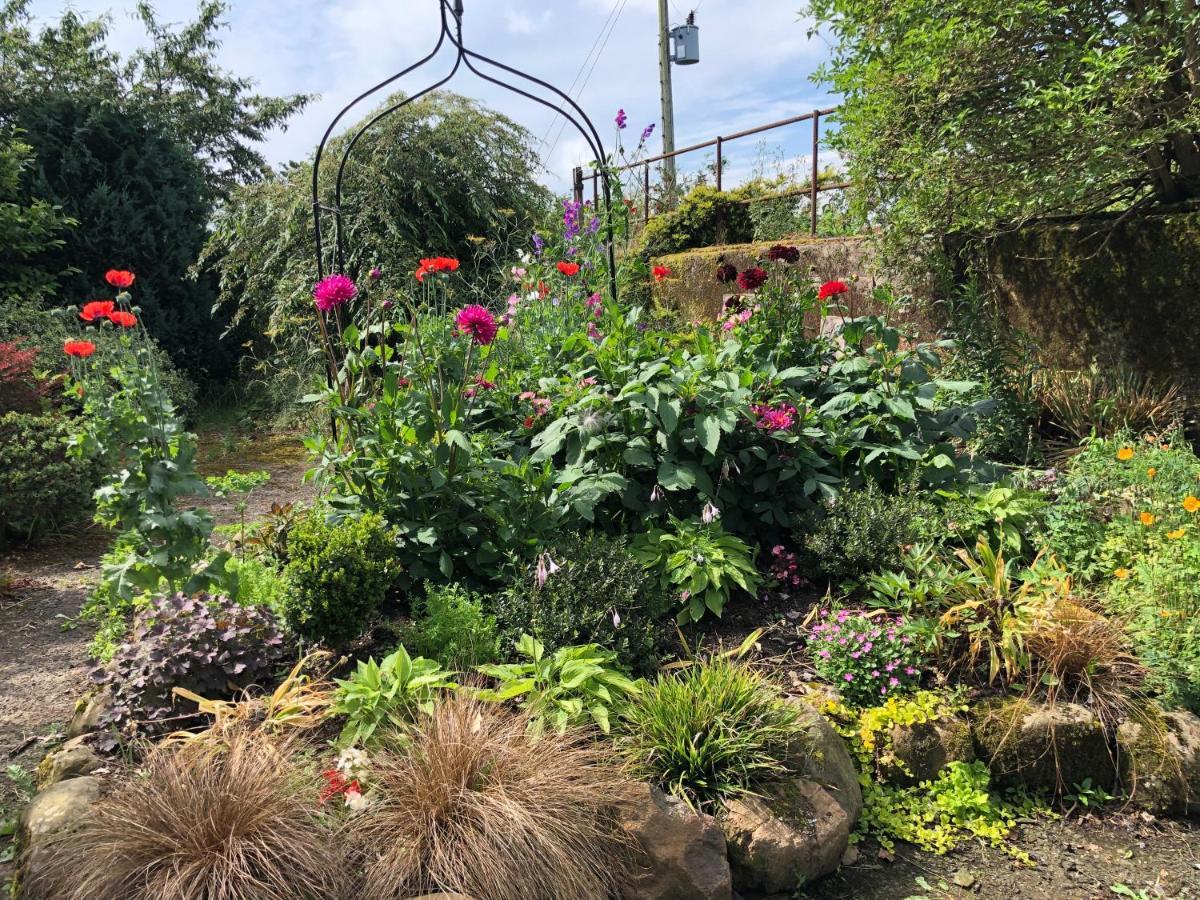 Oakfield B&B Lisburn Esterno foto
